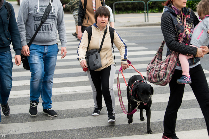 Veszélyes kereszteződések, amelyekben a vakok az életüket féltik