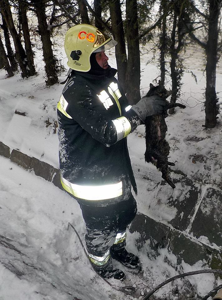 Csőbe húzott macskát mentettek a ceglédi tűzoltók - fotók