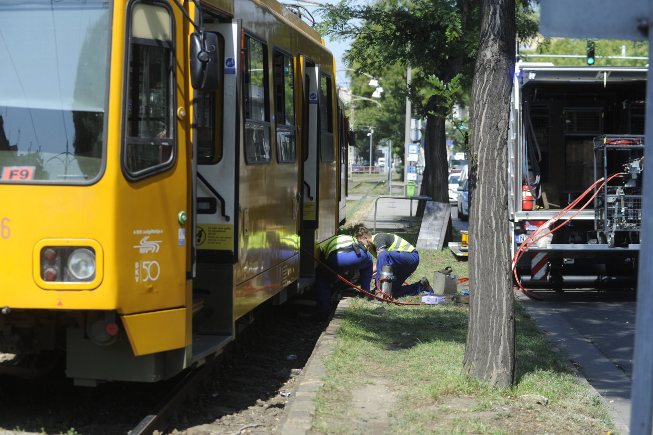Budapest, 2018. augusztus 8.
Szerelők egy villamosnál, amely halálra gázolt egy embert Budapesten, a Fiumei úton 2018. augusztus 8-án.
MTI Fotó: Mihádák Zoltán