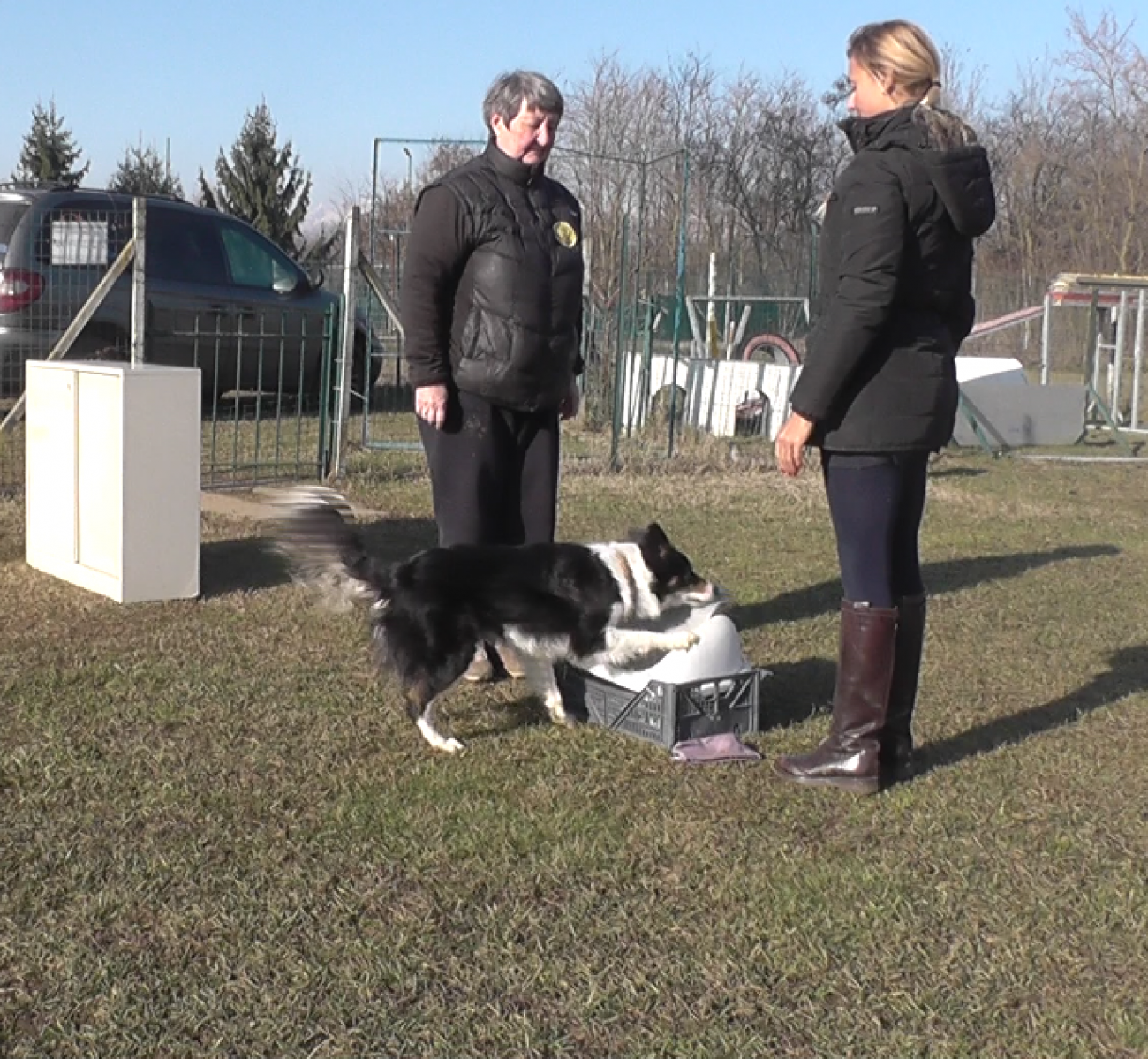 A “Csináld” vezényszó elhangzását követően a kutya végrehajtja a feladatot – a mancsával nyitja ki az ajtót, ugyanazt a mozdulatot használva, mint a demonstrátor