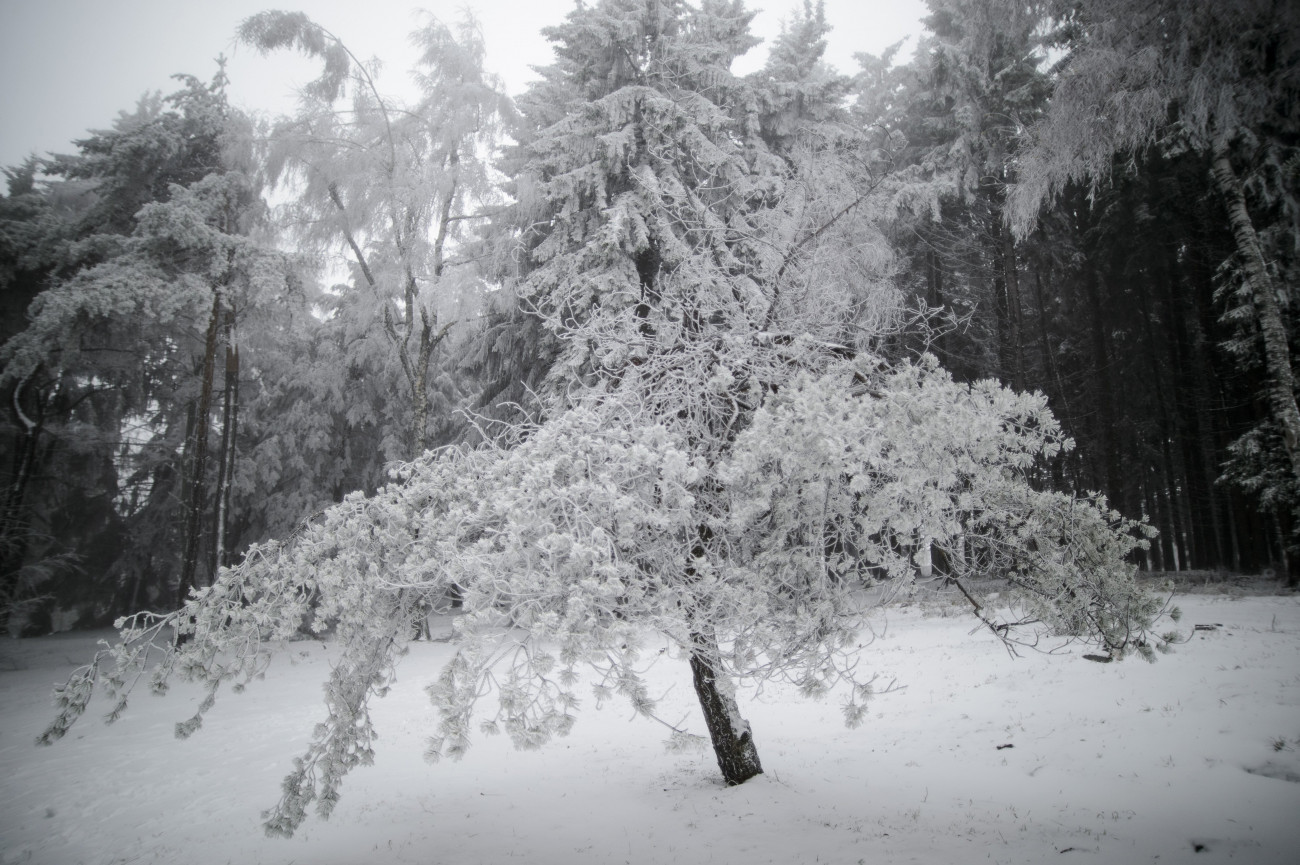 Kékestető, 2018. november 27.
A behavazott Galyatető 2018. november 27-én. A következő napokban további lehűlésre kell számítani, a leghidegebb órákban mínusz 7 foknál is hidegebb lehet, néhol napközben is mínuszok lesznek. 
MTI/Komka Péter