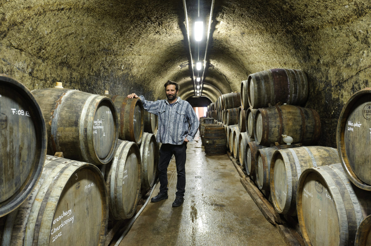Egerszalók, 2012. szeptember 28.
Lőrincz György, a vállalkozás tulajdonosa a St. Andrea Szőlőbirtok és Pincészet pincéjében Egerszalókon 2012. szeptember 28-án.
MTI Fotó: Komka Péter