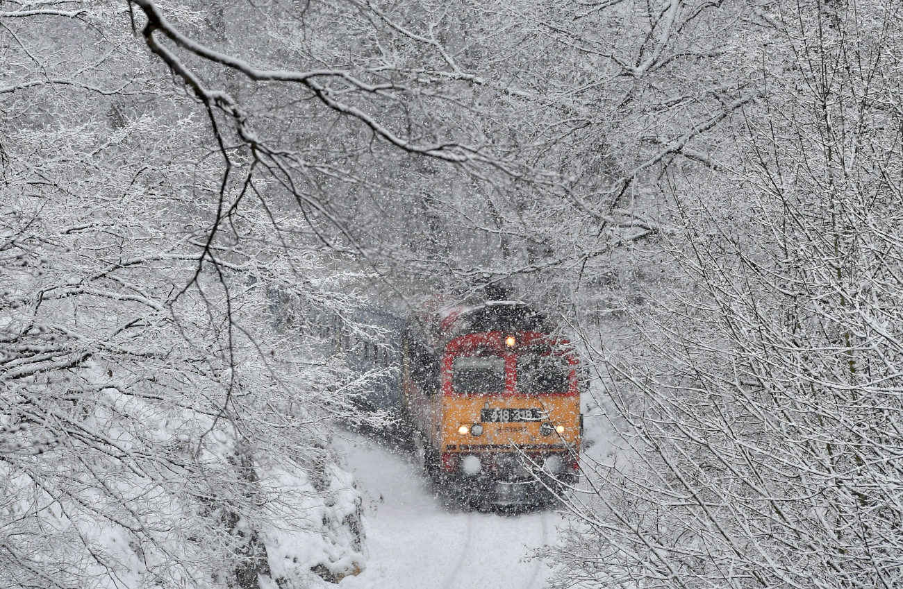 Vinye, 2019. január 8.
Személyvonat halad a hóesésben Vinye és Porva-Csesznek vasútállomás között a Cuha-völgyében 2019. január 8-án.
MTI/Máthé Zoltán
