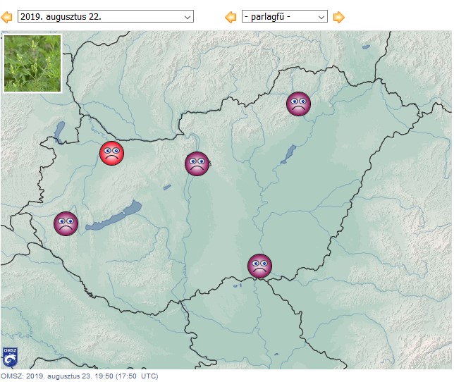 A pollenfűkoncentráció térképen jelezve a met.hu oldal adatai szerint