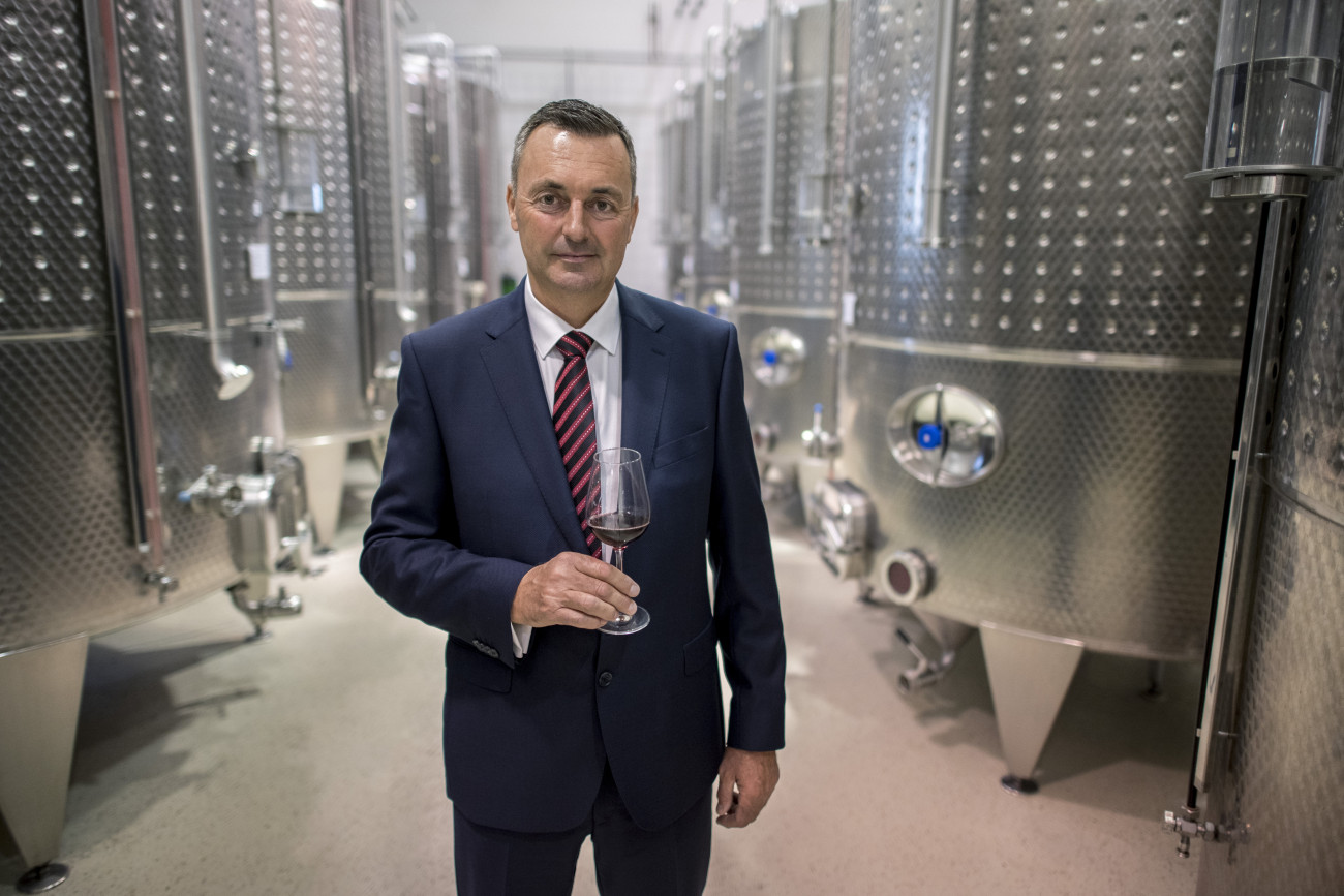 Villány, 2019. október 9.
Az Év Pincészete 2019 díjjal kitüntetett Günzer Tamás a villányi pincészetében 2019. október 9-én.
MTI/Sóki Tamás