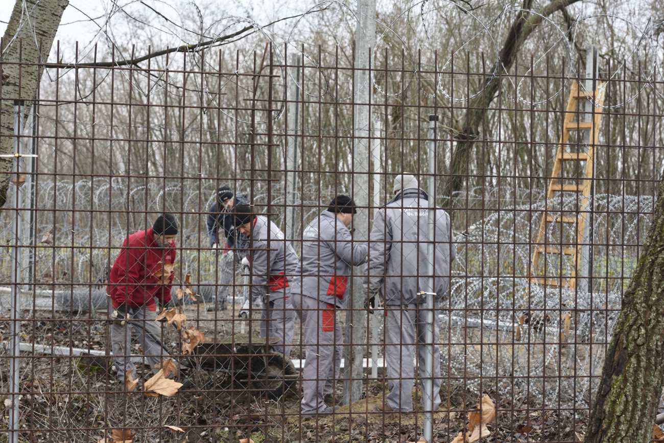 Röszke, 2020. január 28.
A BV Holding Kft. munkatársai kerítést építenek a drótakadály helyett 2020. január 28-án a röszkei közúti határátkelőhely mellett, a szerb-magyar határ azon szakaszán, ahol erre korábban egy távközlési kábel miatt nem volt lehetőség. Ezen a napon hajnalban az átkelőnél több mint hatvan határsértő próbált áttörni Szerbia felől, de a rendőrök megakadályozták őket.
MTI/Kelemen Zoltán Gergely