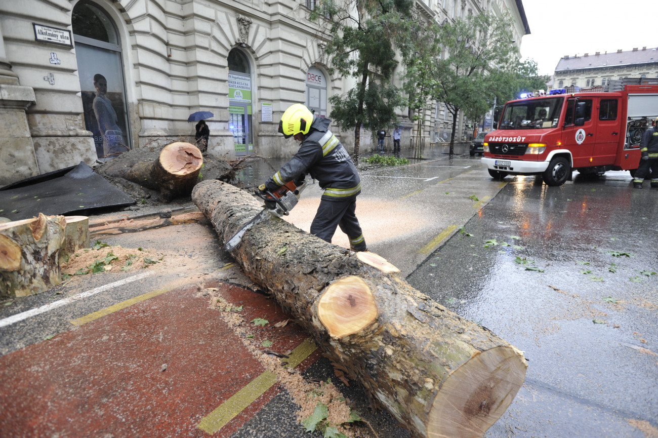 Budapest, 2020. június 14.
Kidőlt fát távolítanak el tűzoltók a belvárosi Alkotmány utcában 2020. június 14-én. A Budapestet is érintő viharos időjárás miatt fél óra alatt több mint hetven helyszínre riasztották a tűzoltókat.
MTI/Mihádák Zoltán