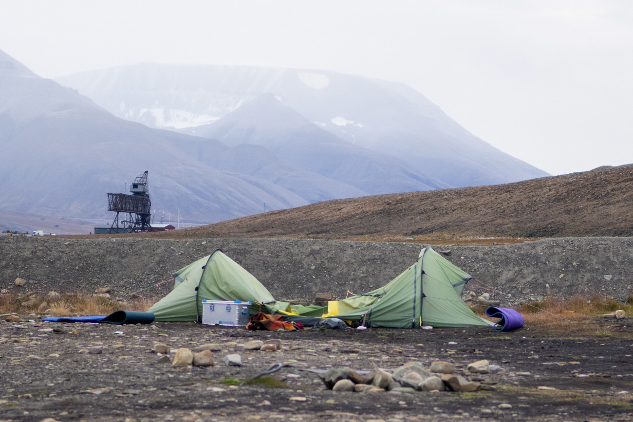 Longyearbyen, 2020. augusztus 28.
Az áldozat, a holland Johan Jacobus Kootte sátra a Norvégiához tartozó jeges-tengeri Svalbard-szigetek (Spitzbergákon) székhelyén, Longyearbyen közelében 2020. augusztus 28-án. A 38 éves kempingező jegesmedve-támadás áldozata lett a hajnali órákban, a ragadozót a többi kempingező lelőtte. Ez a hatodik halálos jegesmedve-támadás a sarkkörön túli szigetcsoporton 1971 óta.
MTI/EPA/NTB Scanpix/Line Nagell Ylvisaker