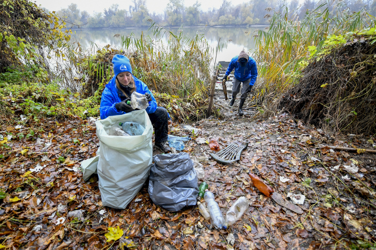 Tiszaszőlős, 2020. november 11.
PET-palackokat és szemetet szedő önkéntesek a Tisza partján, Tiszaszőlős közelében 2020. november 11-én. A Tisztítsuk meg az országot! programban a Közép-Tisza-vidéki Vízügyi Igazgatóság és a Tisza-tavi Sporthorgász Közhasznú Nonprofit Kft. munkatársai, valamint a Tiszai PET Kupa önkéntesei takarítják a Tisza-tavat és környékét.
MTI/Czeglédi Zsolt