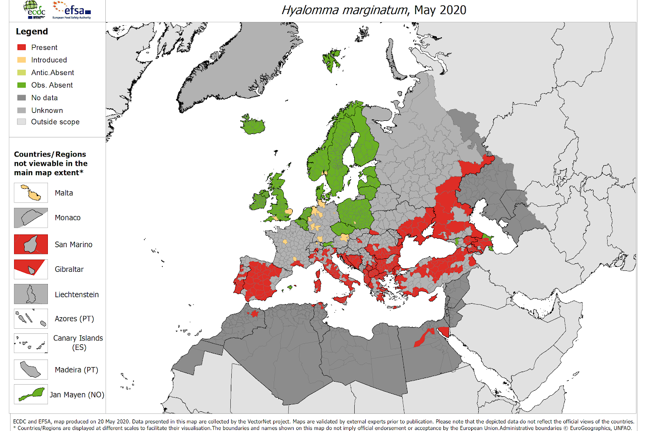 A Hyalomma marginatum európai elterjedése. Forrás: Kullancsfigyelő/European Centre for Disease Prevention and Control