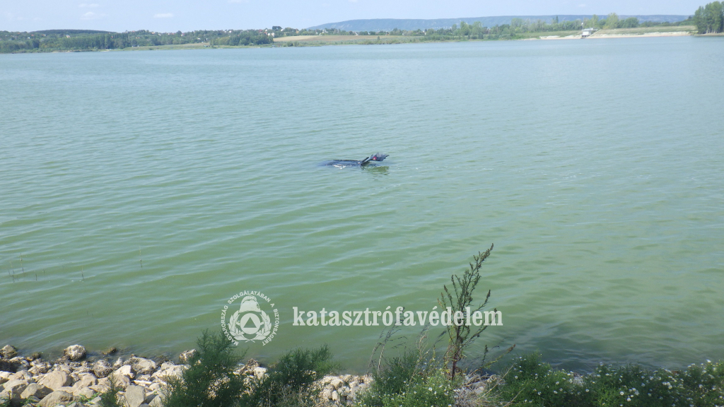 Székesfehérvári Hivatásos Tűzoltó-parancsnokság