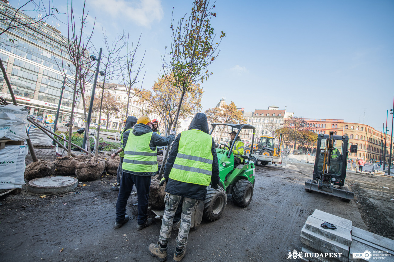 Folytatódik a faültetés a Blaha Lujza téren