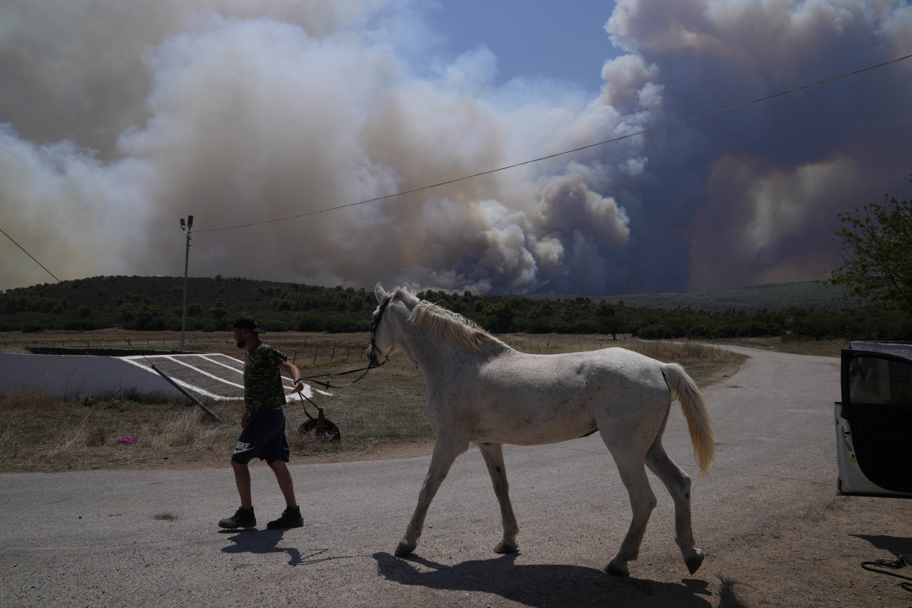 Purnári, 2023. július 18.
Erdőtűz elől ment lovat egy férfi az Athén közelében fekvő Purnári környékén 2023. július 18-án, amikor második napja pusztítanak lángok a görög főváros környékén.
MTI/AP/Thanászisz Sztavrakisz