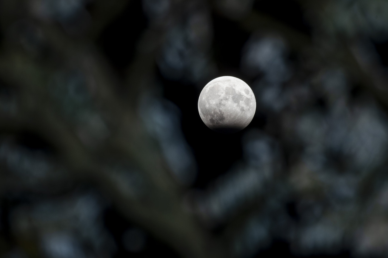 Salgótarján, 2023. október 29.
Részleges holdfogyatkozás Salgótarjánból fotózva 2023. október 28-án este. A holdfogyatkozást az okozza, hogy a Föld a Nap és a Hold közé kerül, ezért a Föld árnyéka részben vagy teljesen a Holdra vetül.
MTI/Komka Péter