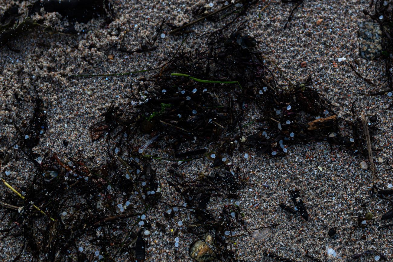 PONTEVEDRA GALICIA, SPAIN - JANUARY 04: An agent of the Local Police and a coast guard make a collection of pellets from the sand, in Illa de Arousa, on January 4, 2024, in Pontevedra, Galicia, Spain.Large quantities of plastic pellets have been appearing, since December 13 in the Rias Baixas and in the estuary of Muros e Noia in bags of about 25 kilos, with the name of a company based in Poland. This has been reported by the Noia Limpa Association, which has detailed that the loss of goods from six containers was reported near Viana do Castelo, in Portugal. The pellets are small plastic balls of less than five millimeters in size that are used to manufacture plastic products, because of their small size and light weight, it is 