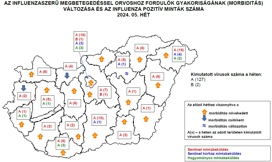 Forrás: NNGYK