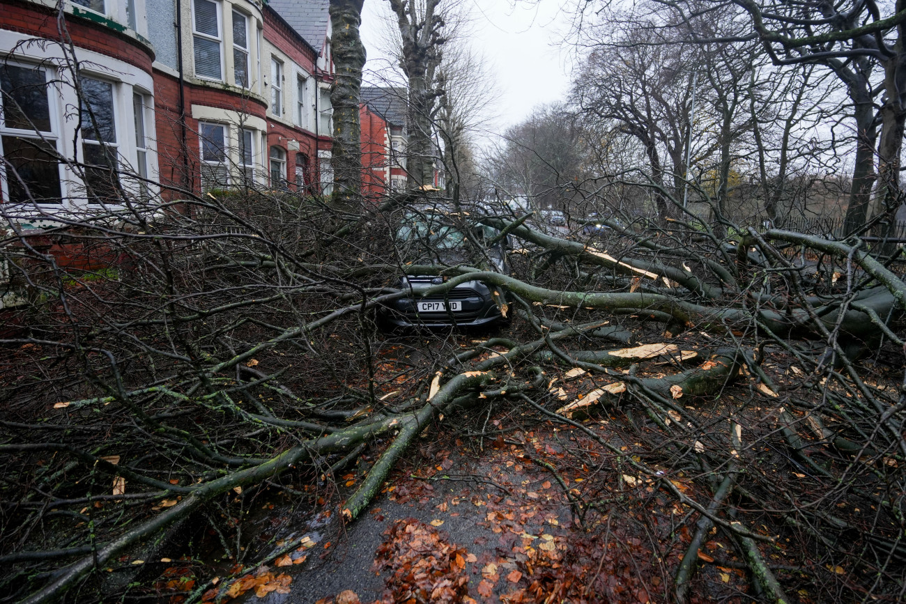 LIVERPOOL, UNITED KINGDOM - DECEMBER 7: A fallen tree damaged a car in Liverpool as Storm Darragh batters parts of the UK, in Liverpool, United Kingdom on December 7, 2024. A powerful storm made landfall in the UK on Saturday following a rare red warning, leaving thousands without power and disrupting travel and sports events. Around 3 million people in Wales and southwestern England were warned by the government to stay indoors as Storm Darragh has already hit parts of the country. (Photo by Stringer/Anadolu via Getty Images)