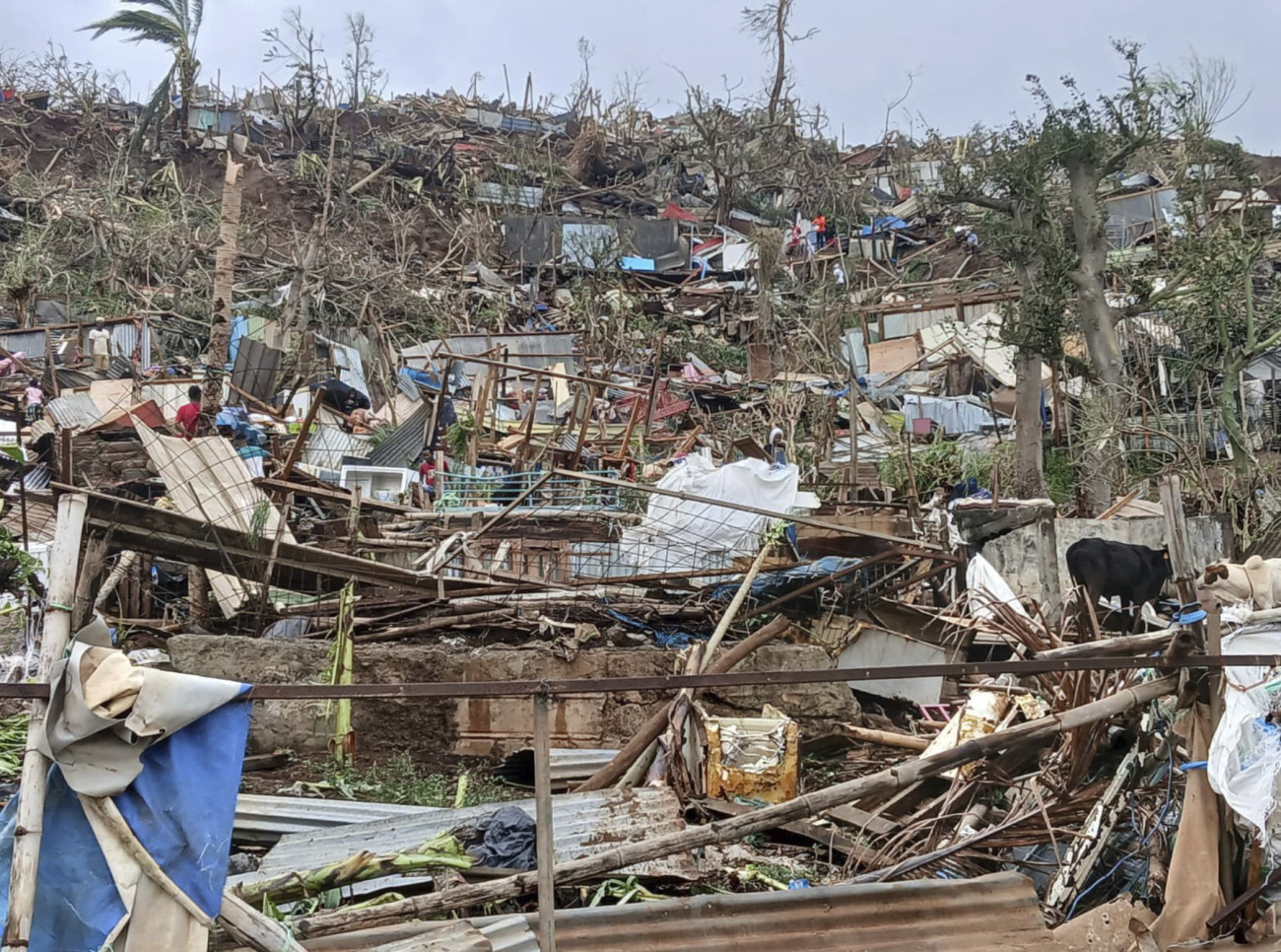 Mayotte-sziget, 2024. december 15.
A Médecins du Monde (A Világ Orvosai) nemzetközi segélyszervezet 2024. december 15-én közreadott felvétele a Chido hurrikán pusztításának nyomairól az indiai-óceáni Mayotte szigetén. Az óránként több mint 200 kilométeres sebességgel érkező vihar december 14-én söpört végig a Franciaországhoz tartozó, 320 ezer lakosú szigeten. A természeti katasztrófában tizennégyen életüket vesztették, a sebesültek száma meghaladja a kétszázat. Az anyagi kár jelentős, sok ezer háztartás maradt áram nélkül. A francia kormány 800 embert, köztük 210 egészségügyi dolgozót indított útnak Mayotte-ra. A mostanihoz hasonló erejű hurrikánt legutóbb kilencven éve jegyeztek fel a térségben.
MTI/AP/Médecins du Monde