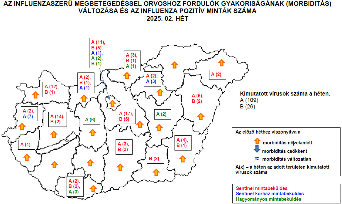 Forrás: NNGYK