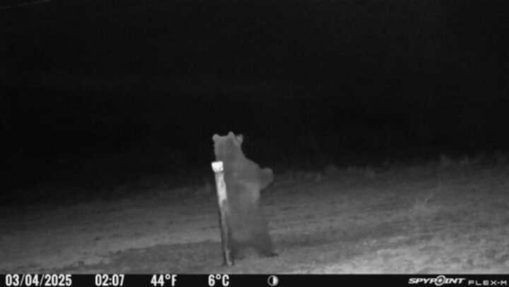 Forrás: Facebook/Balassagyarmat és környéke