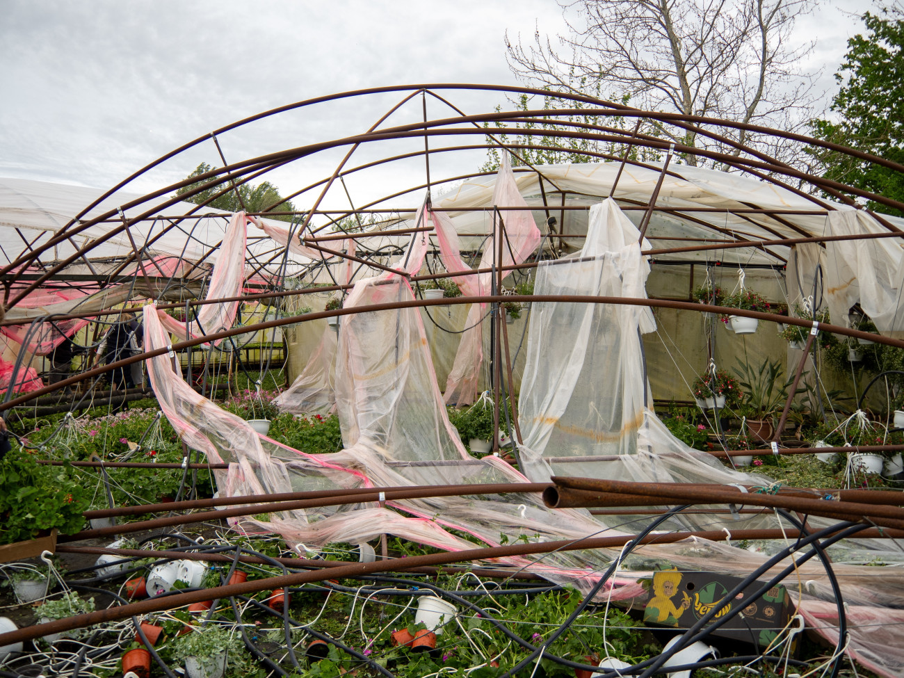 Soltvadkert, 2025. április 18.
Viharban megrongálódott fóliasátor Soltvadkerten 2025. április 18-án.
MTI/Donka Ferenc
