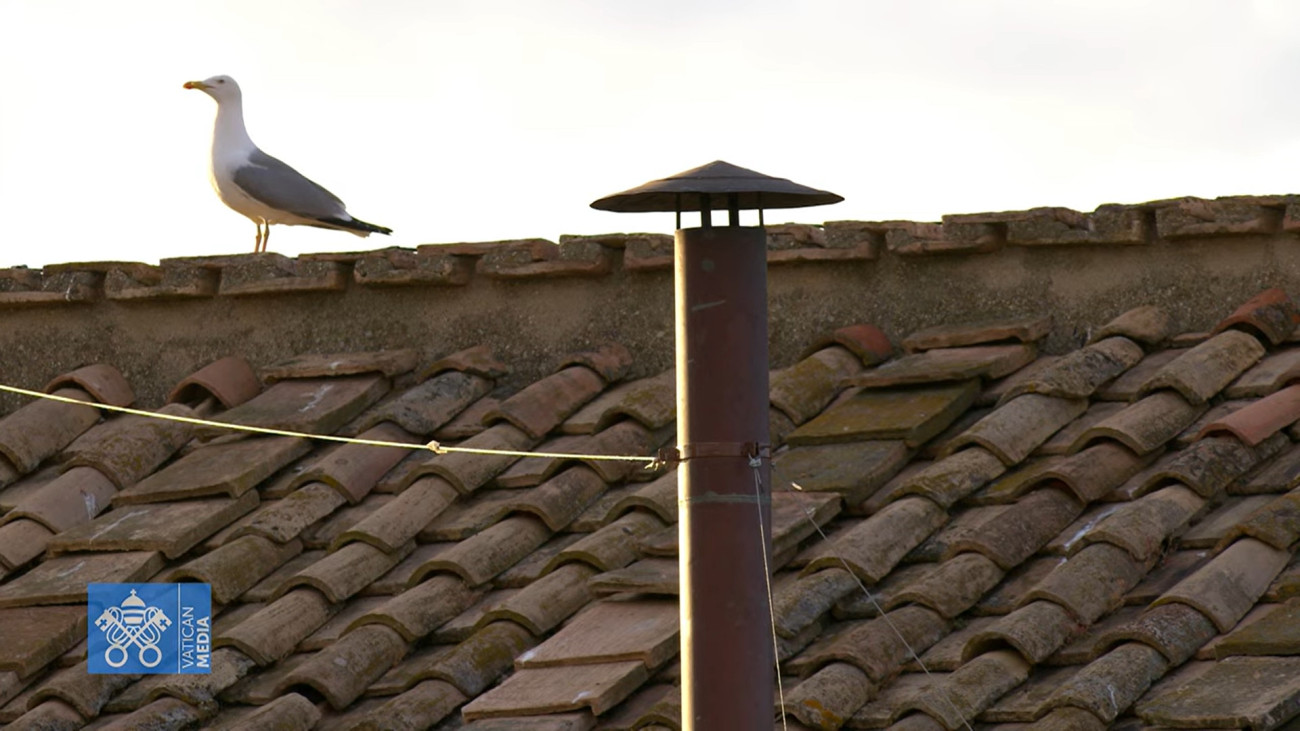 Egy sirály üldögélt vagy egy órán át a Vatikán kéményének hátterében, később többször is feltűntek még madarak a Sixtus-kápolna kéményéről közvetítő képsorokon (Forrás: YouTube/Vatican News)