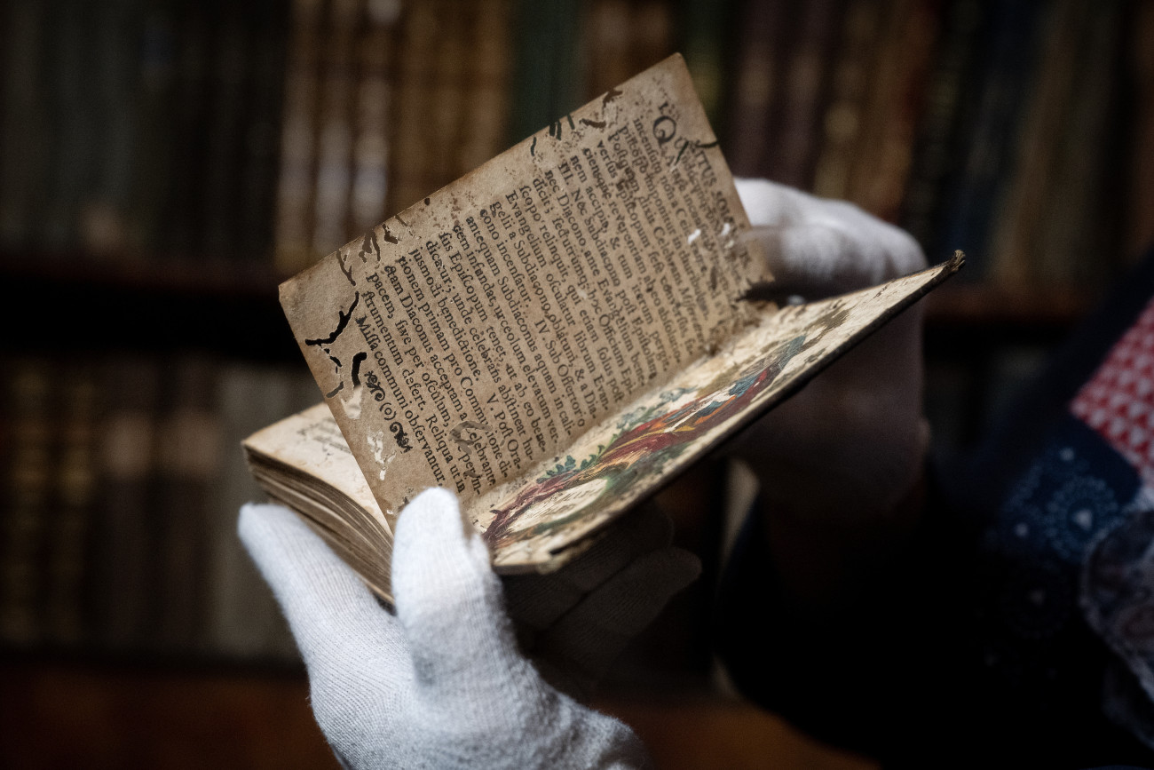 Pannonhalma, 2025. május 23.
Kenyérbogár által megrongált könyv a rovarinvázió miatt átmenetileg bezárt Pannonhalmi Főapátsági Könyvtár klasszicista teremkönyvtárában 2025. május 23-án. A fertőzést a kenyérbogár (Stegobium paniceum) elszaporodása okozta. A könyvtárat a fertőzésmentesítés idejére, június 1-jétől be kell zárni előreláthatólag 7 hónapig.
MTI/Krizsán Csaba