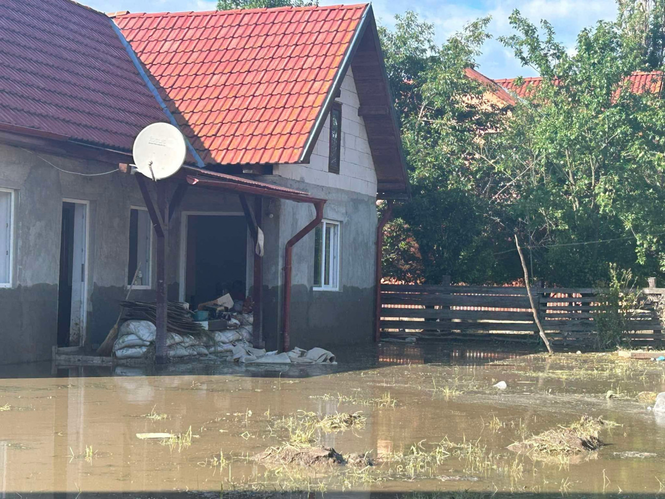 Ökumenikus Segélyszervezet