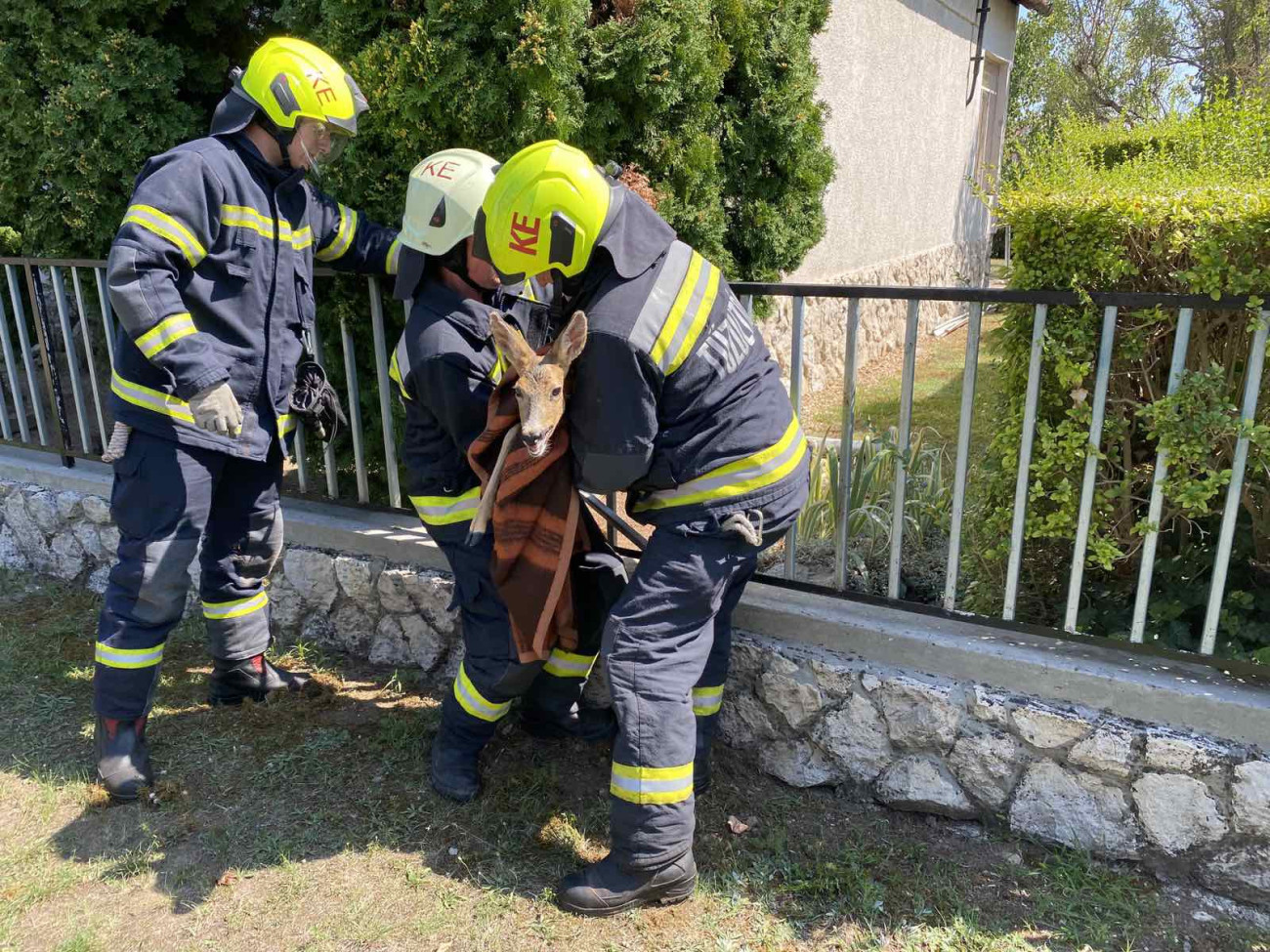 Forrás: BM OKF Hivatalos