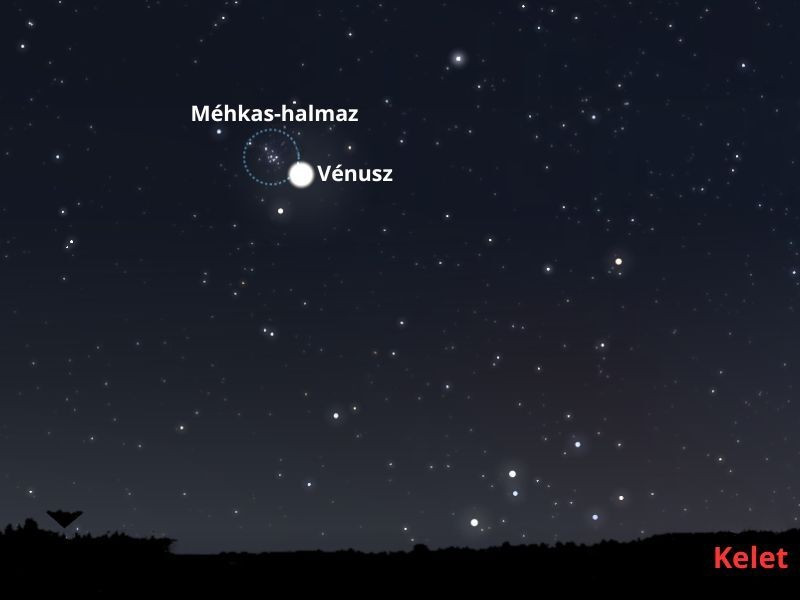 Szeptember első hajnalán a Vénusz és a Méhkas-halmaz kicsivel több, mint 1 fokra lesznek egymástól. Binokulárral észlelve egy látómezőben láthatjuk a fehéren ragyogó bolygót és a nyílthalmaz színes csillagait. Fotó: stellarium-web.org