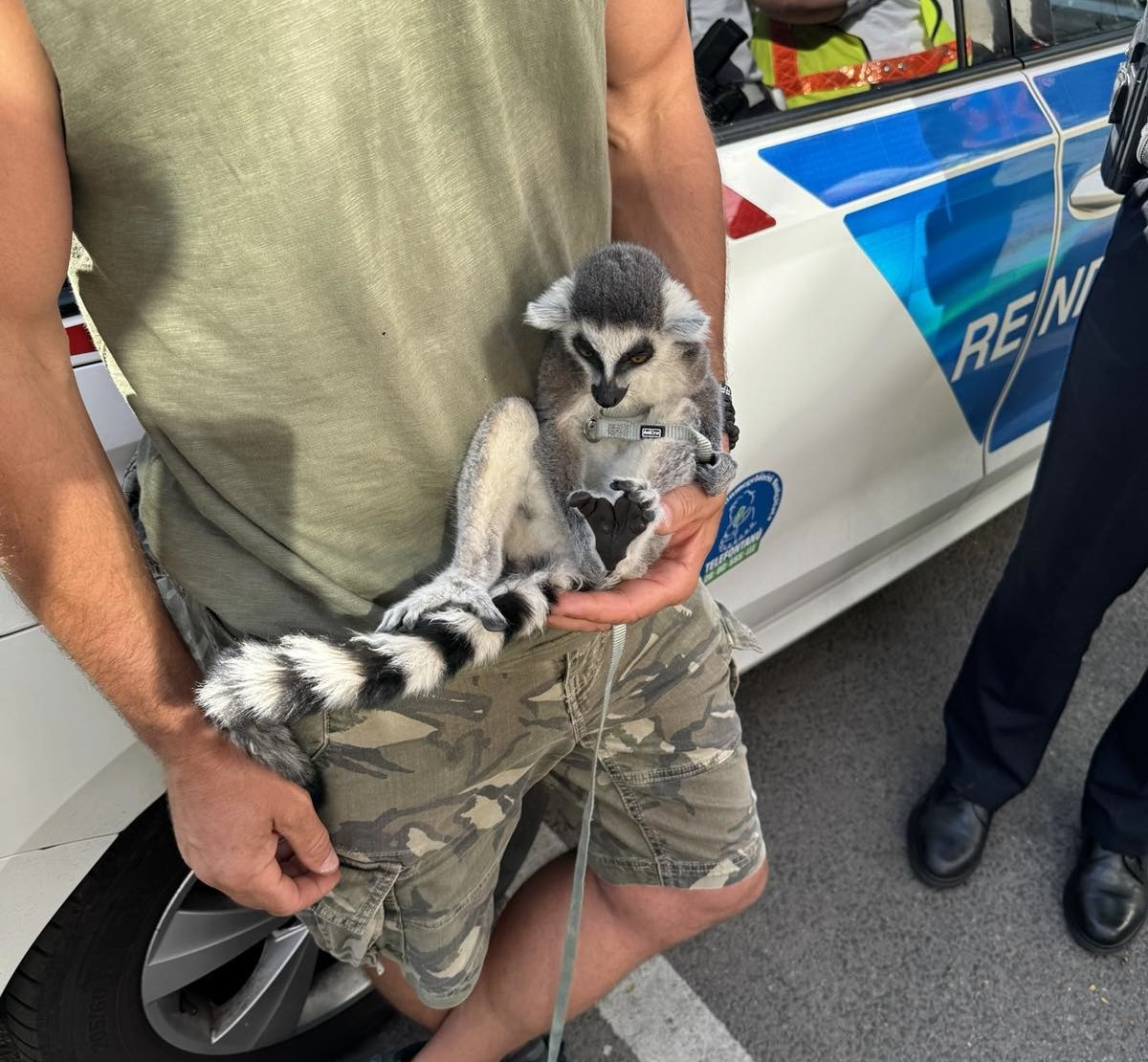 Forrás: Facebook/Rendészeti Államtitkárság