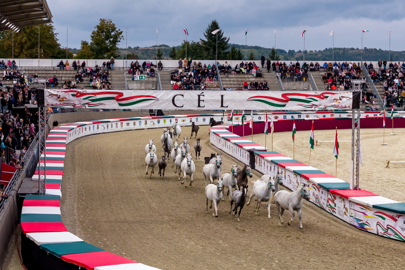 Szilvásvárad, 2025. október 5.
A drónnal készült képen méneshajtás a 18. Nemzeti Vágtán a Szilvásváradi Lipicai Lovasközpontban 2025. október 5-én.
MTI/Czeglédi Zsolt