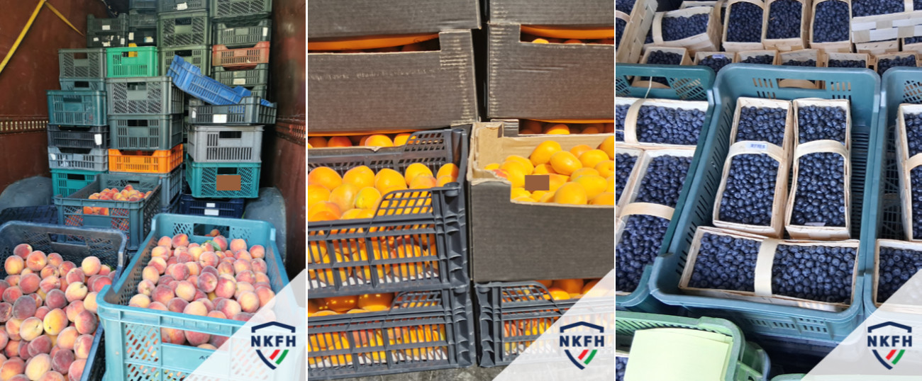 NKFH-fotók az illegális gyümölcspiacról