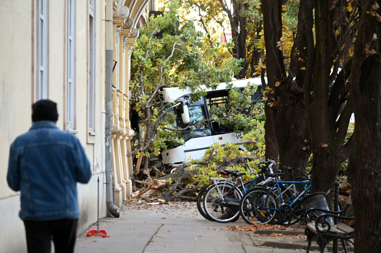 Szolnok, 2025. október 22.
Összeroncsolódott autóbusz a Kossuth Lajos és a Damjanich utca keresztezõdésénél Szolnokon 2025. október 22-én. A Szandaszõlõs felõl Szolnok irányába közlekedõ helyi járat eddig tisztázatlan körülmények között a Szabadság térrõl lehajtott és belecsapódott a Varga Katalin Gimnázium falába. Egy gyalogos és több utas megsérült.
MTI/Mészáros János