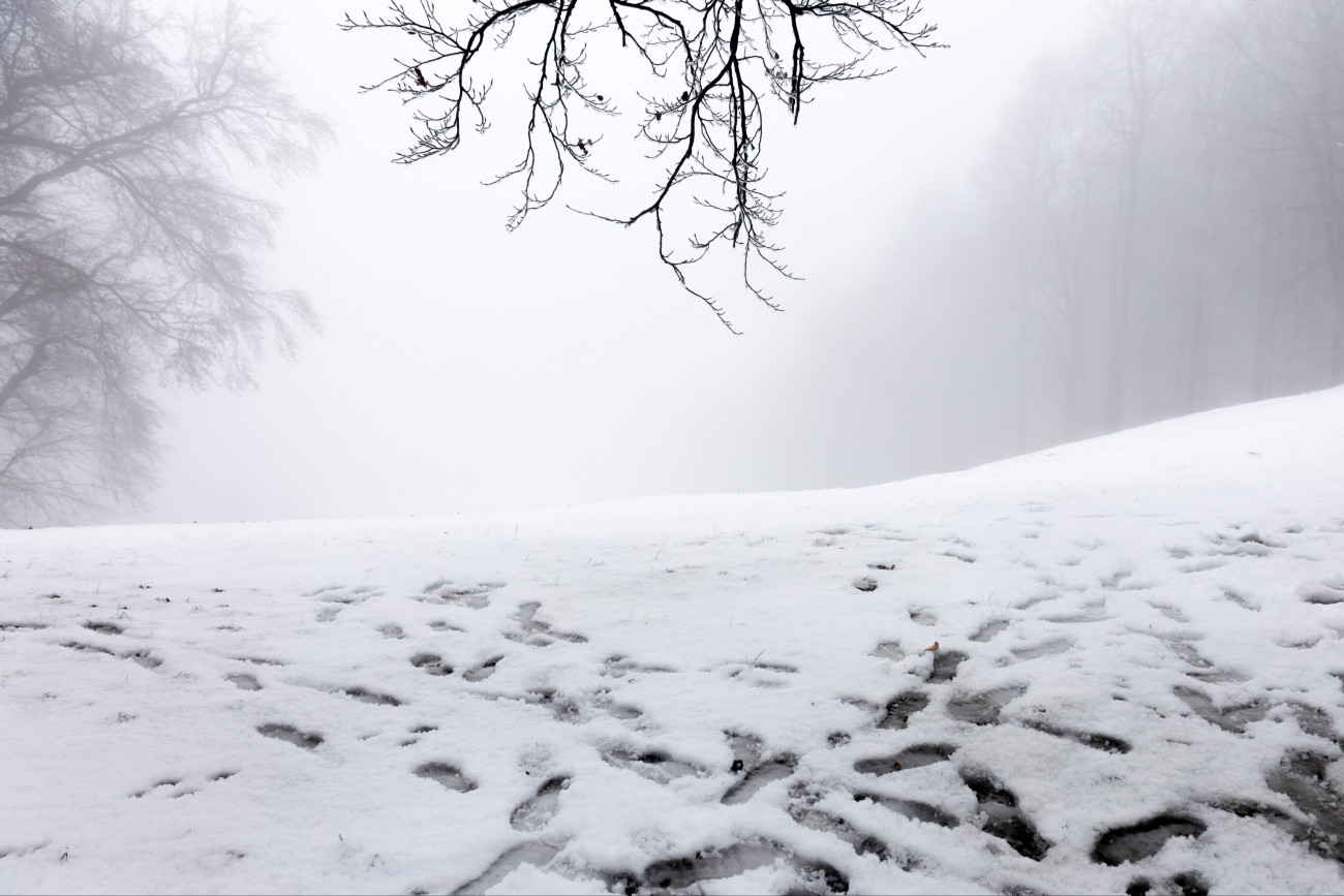 Dobogókõ, 2025. november 21.
Lábnyomok a hóban Dobogókõn 2025. november 21-én. Borult, csapadékos idõ várható a hétvégén, többfelé havazhat is.
MTI/Kocsis Zoltán