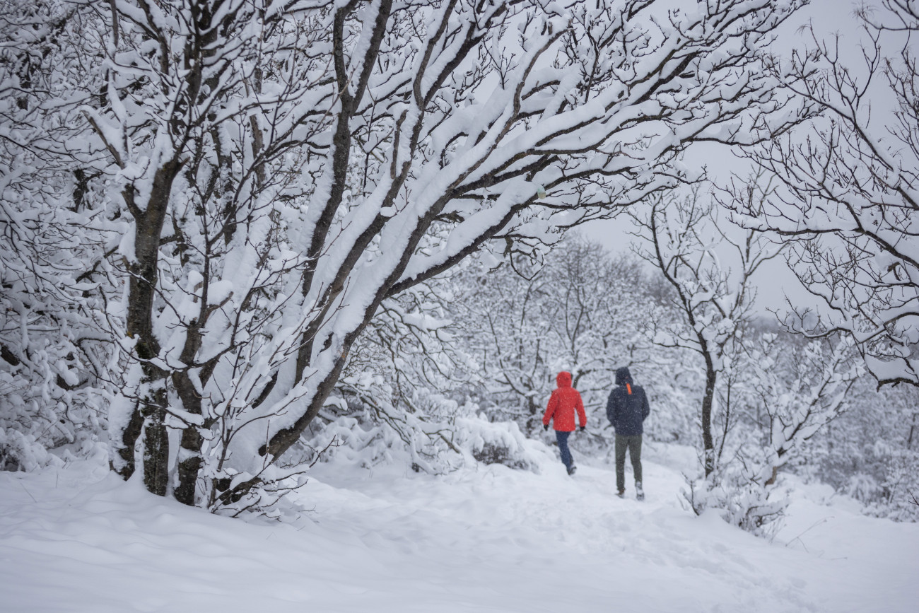 Pécs, 2026. január 5.
Kirándulók a Mecsekben Pécs közelében 2026. január 5-én.
MTI/Ruprech Judit