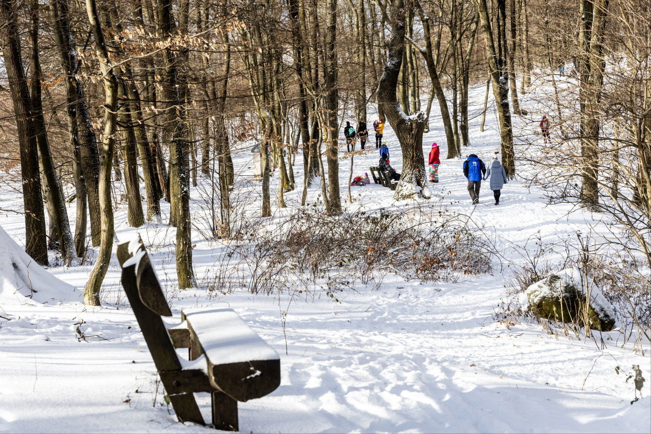 Pilisszentkereszt, 2026. január 1.
Kirándulók a behavazott Dobogó-kõn 2026. január 1-jén.
MTI/Kocsis Zoltán