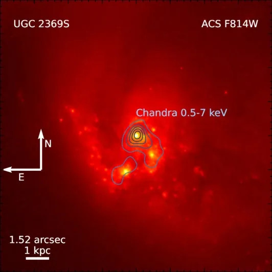Az UGC 2369S összeolvadó galaxishármas a Hubble-űrtávcső ACS (Advanced Camera for Surveys) műszerével készült közeli infravörös képen. A szintvonalak a Chandra-űrtávcsővel 0,5–7 keV energiatartományban mért röntgenintenzitást jelölik. A bal alsó sarokban a méretskála kb. 3300 fényév. Az északi, röntgentartományban a legfényesebb galaxismag belsejében sikerült VLBI-módszerrel megtalálni a kompakt rádiósugárzó objektumot. (Forrás: Y. Ding at al., 2026)