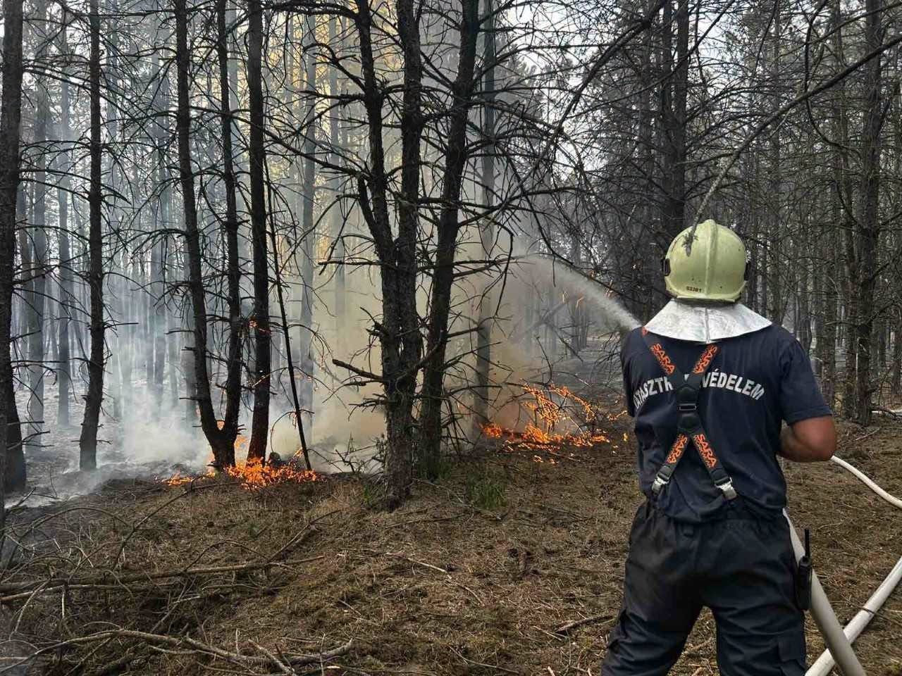 Fotó: Kovács Andrea tűzoltó százados – Bács-Kiskun VMKI