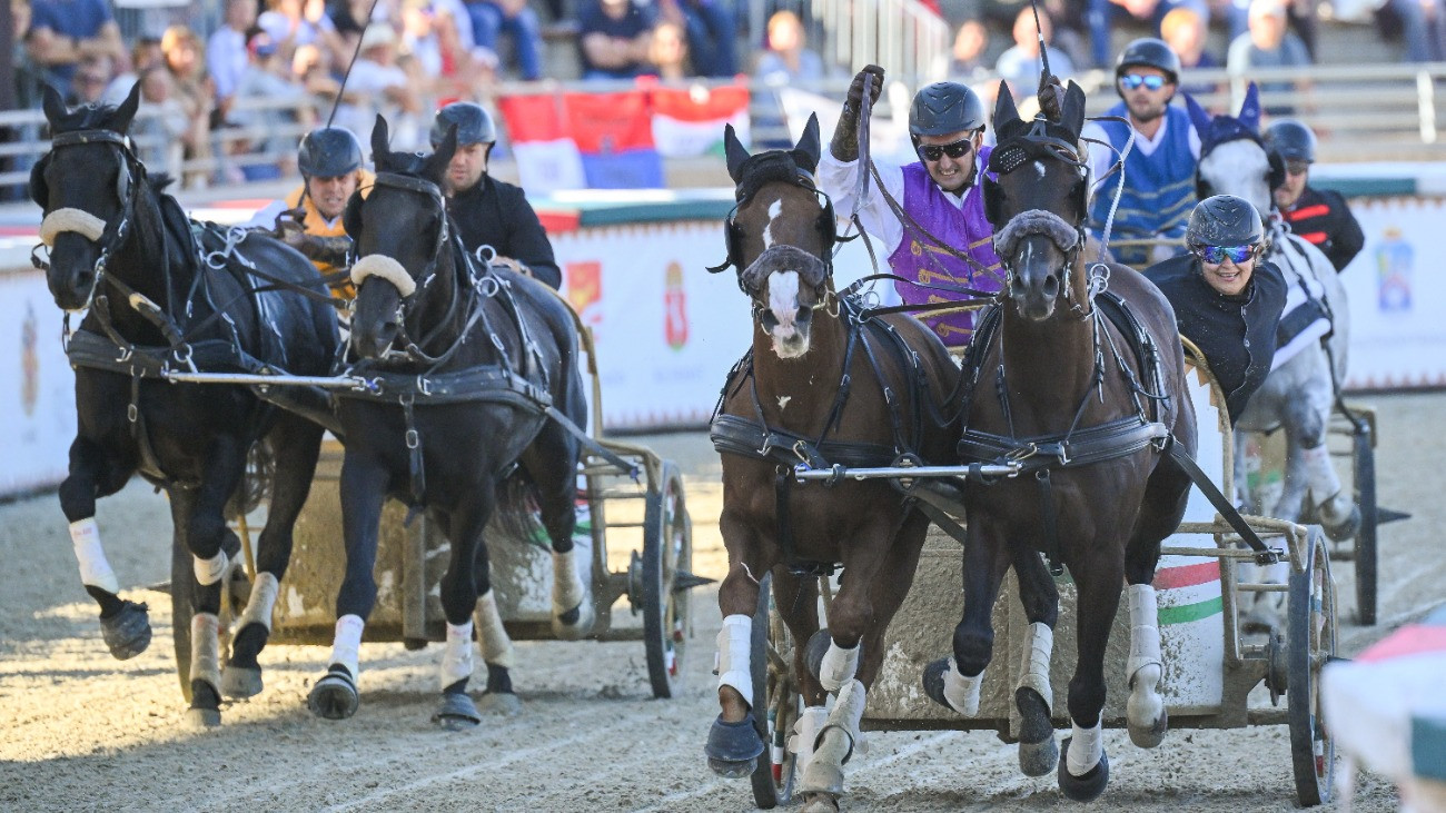 Szilvásvárad, 2026. október 4.
A késõbbi gyõztes Makoviczki Zoltán, az Újkígyósi ménes versenyzõje (j) Fogatvágta döntõjében a 19. Nemzeti Vágta a Szilvásváradi Lipicai Lovasközpontban 2026. október 4-én.
MTI/Czeglédi Zsolt