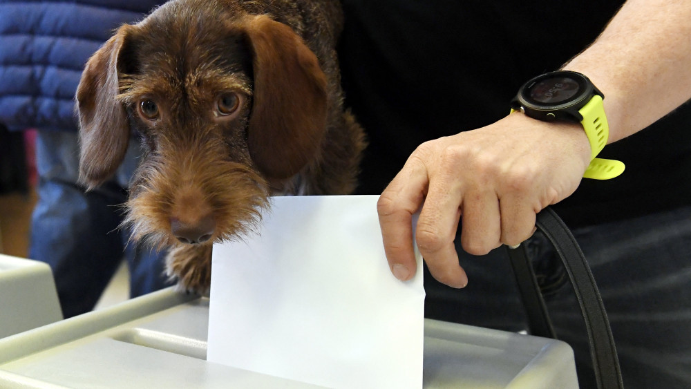 Egy szavazó kutyájával a Zugligeti Általános Iskolában az országgyűlési képviselő-választáson 2018. április 8-án.