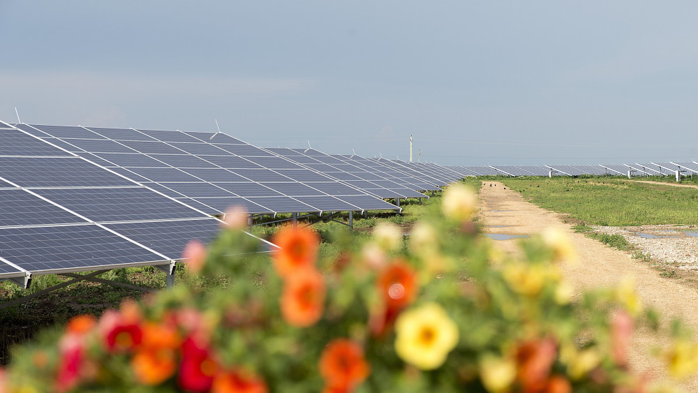 Napelemek a Solar Markt Kft. naperőművének telephelyén, amelyeket Áder János köztársasági elnök adott át a Vas megyei Csepregen 2018. május 23-án. Magyarországon a tervezett energetikai beruházások megvalósításával a megtermelt elektromos áram 90 százalékát szén-dioxid-mentesen állítják majd elő 2030-ra.