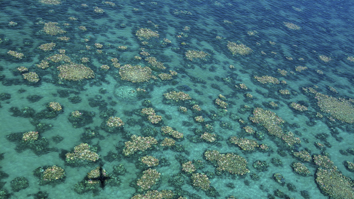 Queensland állam, 2017. április 10.Az Ausztrál Kutatási Tanács Excellence for Coral Reef Studies Központja által közreadott dátumozatlan képen a megfigyelést végző repülőgép árnyéka vetül az ausztráliai Nagy Korallzátony sérült koralljaira Queensland államban. Egy levegőből végzett vizsgálat 2017 áprilisában közreadott eredménye szerint korábban sohasem látott korallfehéredés sújtja a Nagy Korallzátony északi és középső harmadát. (MTI/EPA/ARC Centre Coral Reef Studies/Ed Roberts)