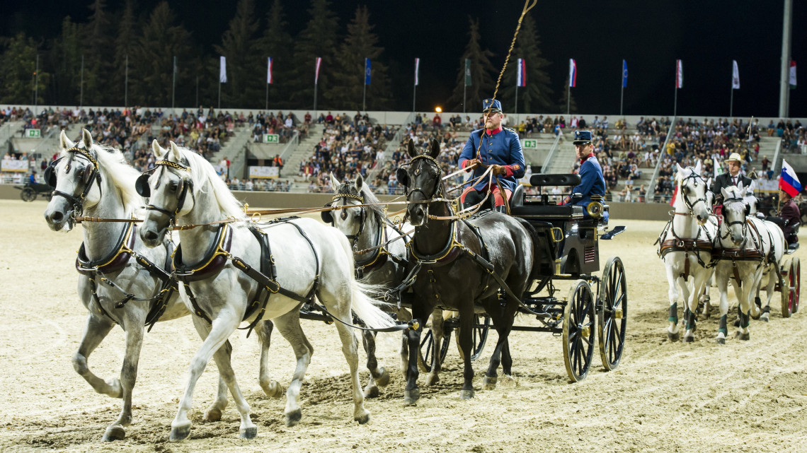 Fogatok bemutatója az új lipicai lovasközpont megnyitóján Szilvásváradon 2018. augusztus 18-án.