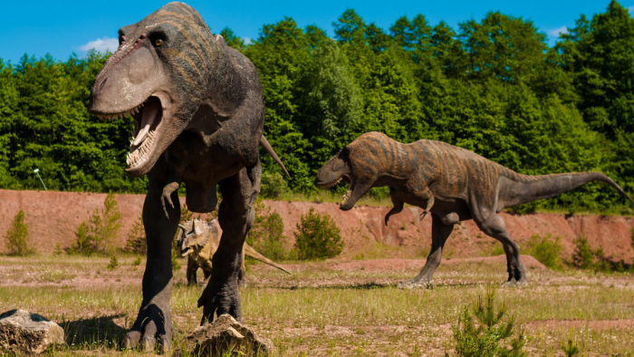 Kiderült egy titok a dinoszauruszokról