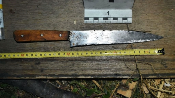 20 centiméteres kést döfött a kutyájába egy férfi