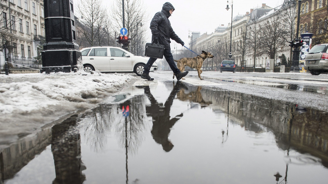 Egy gyalogos kutyával megy át a zebrán az ónos esőben Budapesten, az Andrássy úton 2017. február 1-jén.
