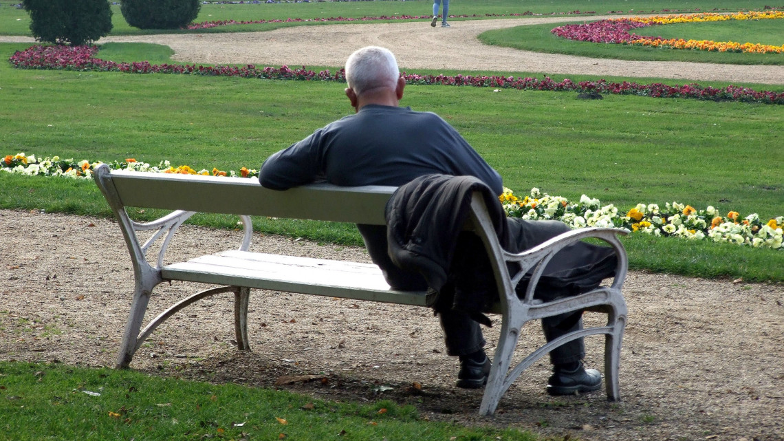 Nyugdíjas férfi pihen meg séta közben a Margitsziget virágoskertjének padján a novemberi napsütésben. MTVA/Bizományosi: Jászai Csaba  *************************** Kedves Felhasználó!