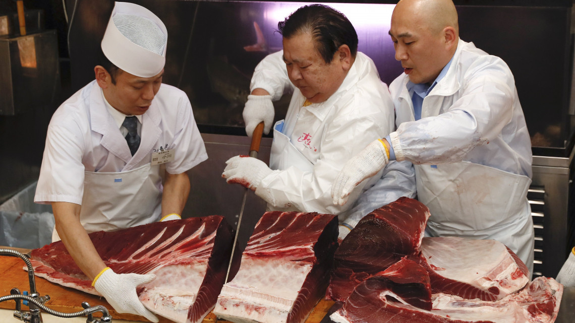 Kimura Kijosi, a Sushi-Zanmai étteremláncot üzemeltető társaság elnöke (k) felvágja a rekordárért vásárolt kékuszonyú tonhalat a tokiói Tojoszu piac évnyitó tonhalárverése után az étteremlánc egyik vendéglőjében 2019. január 5-én. Az idei árverésen 333,6 millió japán jenért (mintegy 870 millió forintért) kelt el a 278 kilogrammos kékuszonyú tonhal.