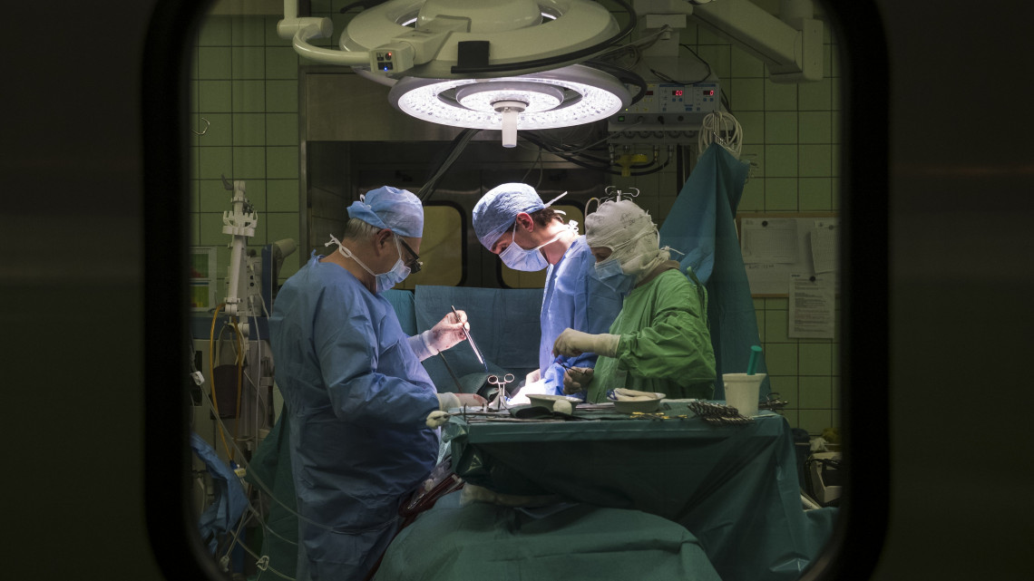 Szabolcs Zoltán szívsebész professzor (b) szívtranszplantációs műtétet végez a Városmajori Szív- és Érgyógyászati Klinikán 2018. március 3-án. Magyarországon minden feltétel adott a sikeres szervátültetésekhez - mondta Ónodi-Szűcs Zoltán egészségügyért felelős államtitkár ezen a napon egy sajtótájékoztatón abból az alkalomból, hogy februárban elvégezték a tízezredik szervátültetést Magyarországon.
